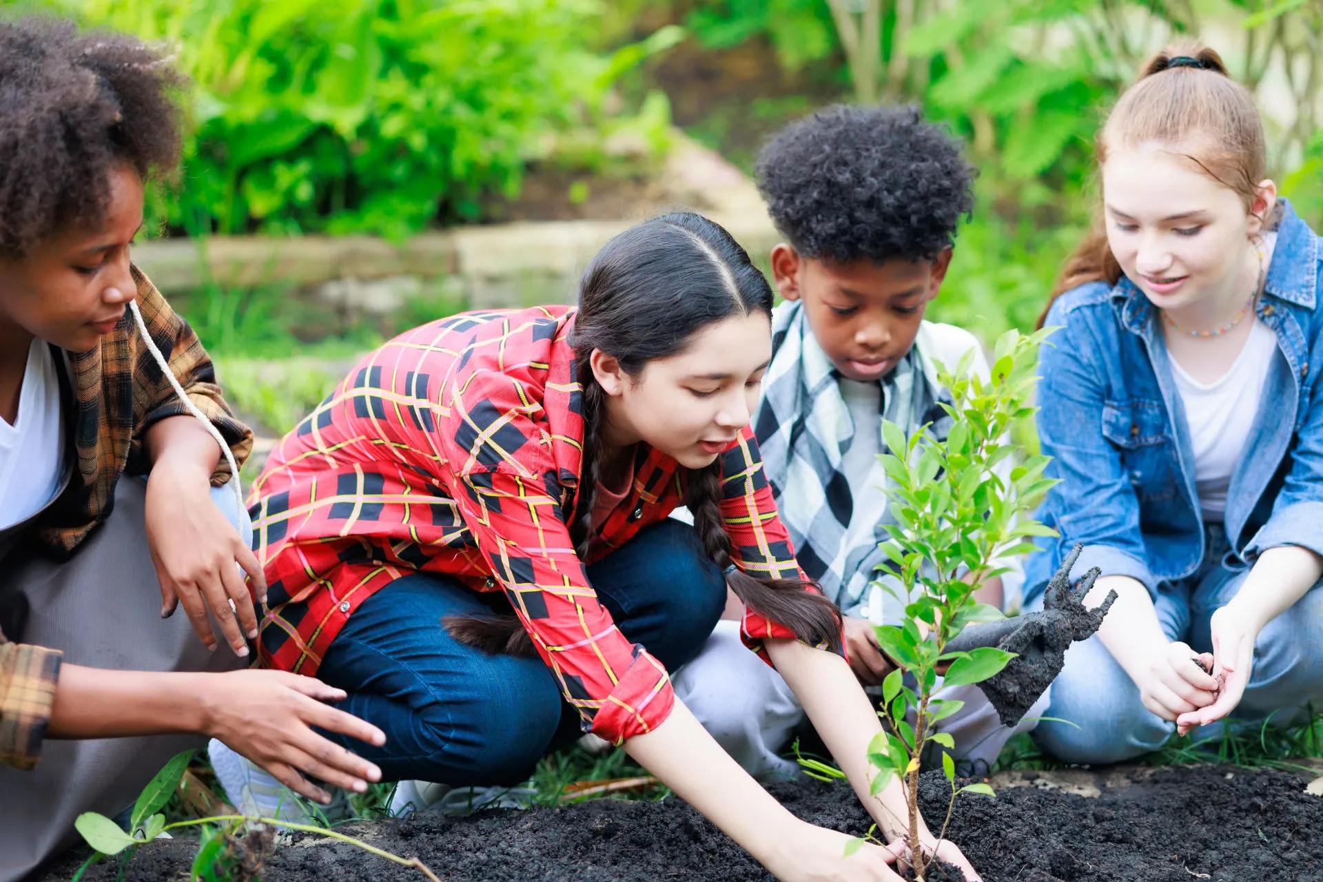 Vier Schüler*innen pflanzen eine Jungpflanze